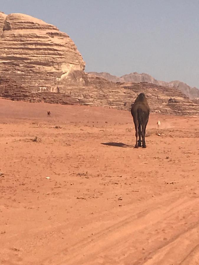 Bedouin House Camp Hotel Wadi Rum Buitenkant foto