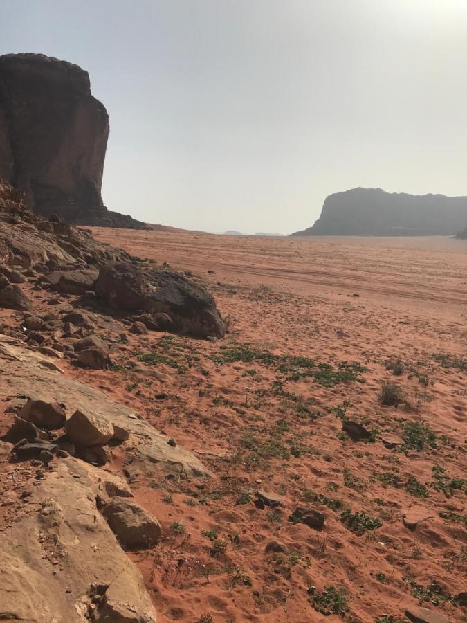 Bedouin House Camp Hotel Wadi Rum Buitenkant foto