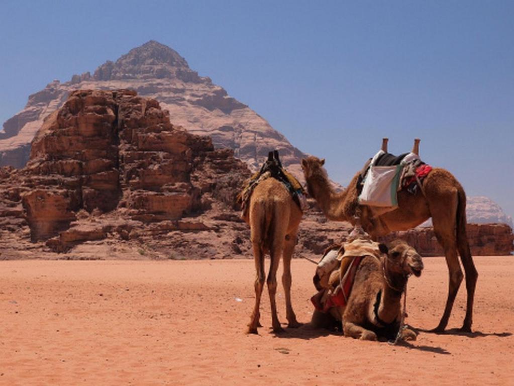 Bedouin House Camp Hotel Wadi Rum Buitenkant foto